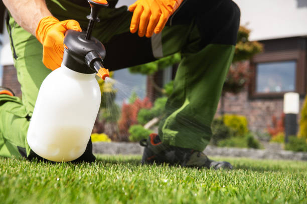 Best Flea Control Services  in Elroy, NC