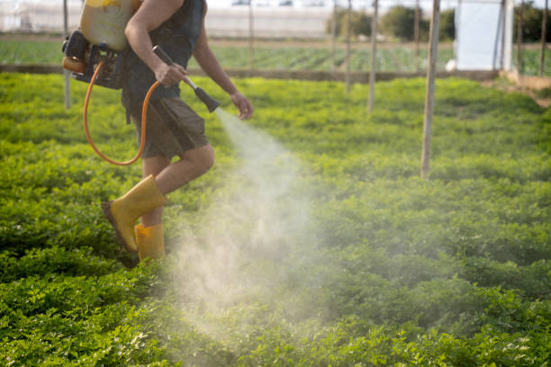 Best Mosquito Control Services  in Elroy, NC