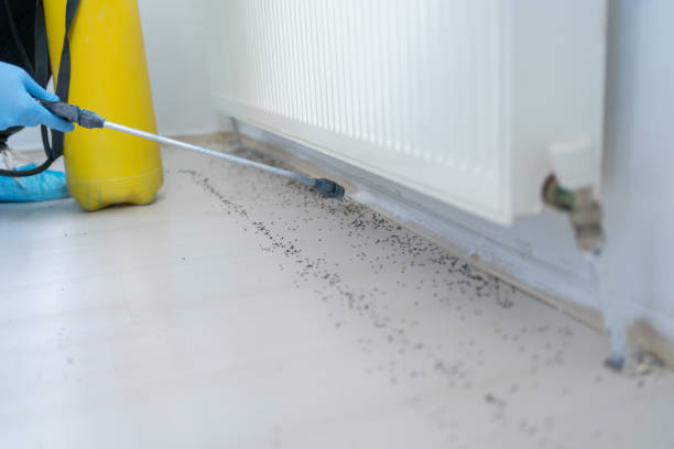 Best Pest Control Treatment  in Elroy, NC
